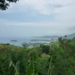 Kata Noi, Kata and Karon bays seen from Karon View Point in Phuket